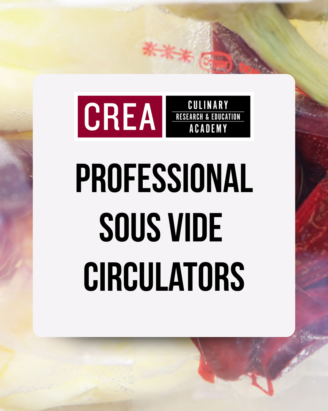 Professional Sous Vide Circulators