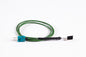 Probe for Sous-Vide Cooking